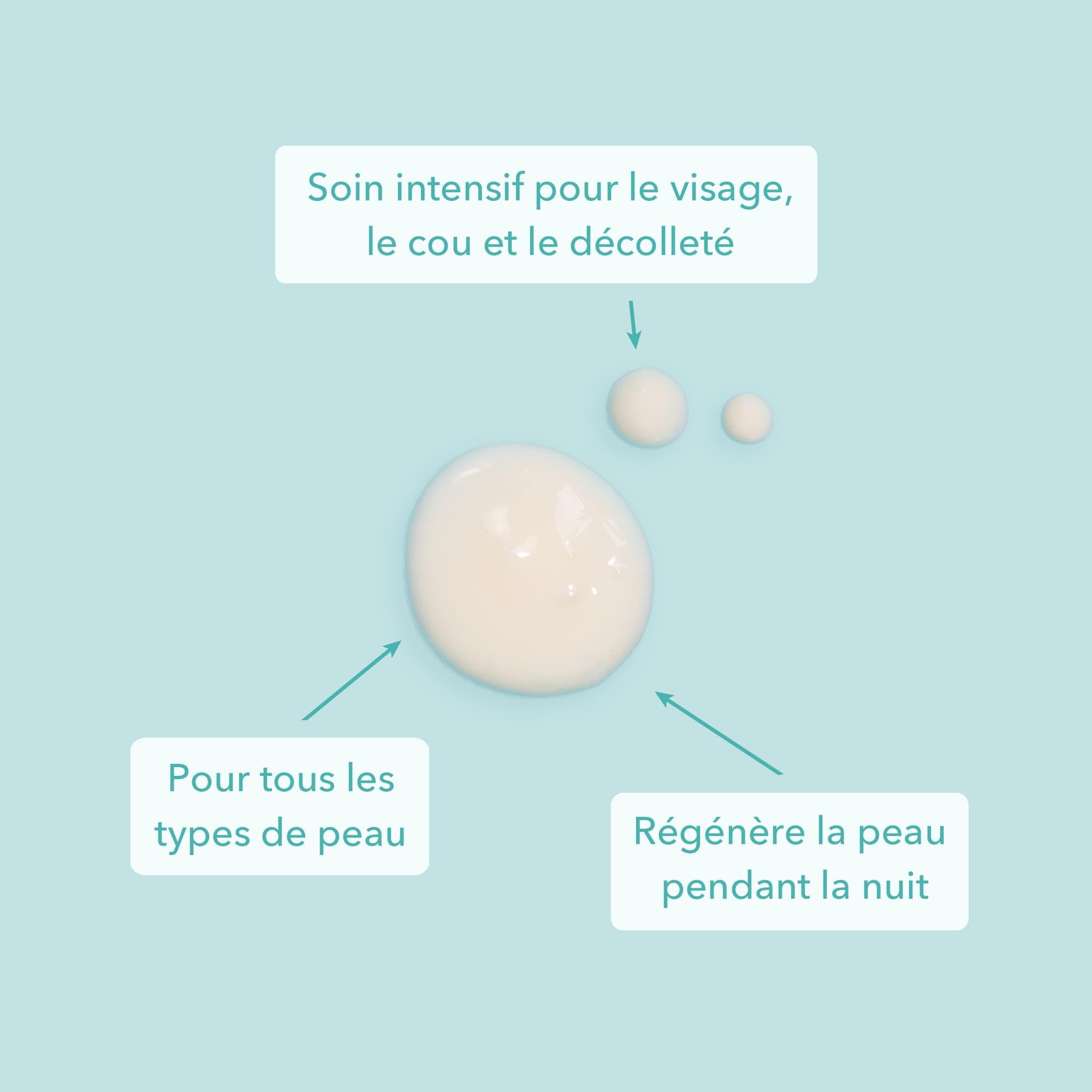 colibri skincare NIGHT CREAM (80ml) - Crème de nuit anti-rides avec rétinol, acide hyaluronique et céramides pour femme et homme - Soin de nuit pour le visage, le cou et le contour des yeux