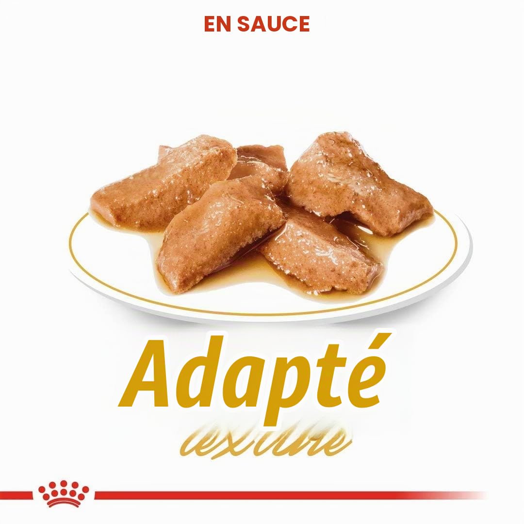 Royal Canin Maine Coon Adult | Pack de 4 | 4 x 12 x 85 g | Aliment Humide pour Chats | Spécialement adapté aux Besoins des Chats Maine Coon | Teneur énergétique adaptée