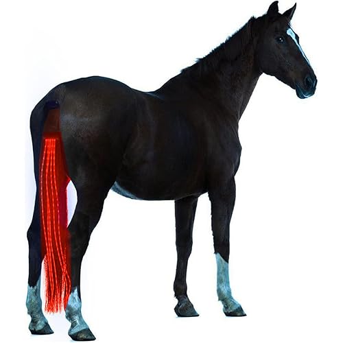A&K L'YDIA Horse Tail LED Light Bar,100cm/40inch Horse Equipment Riding Tail Trapings Equestrian Type-c Charge Horse Tail Bag for Horse Shows (Red)
