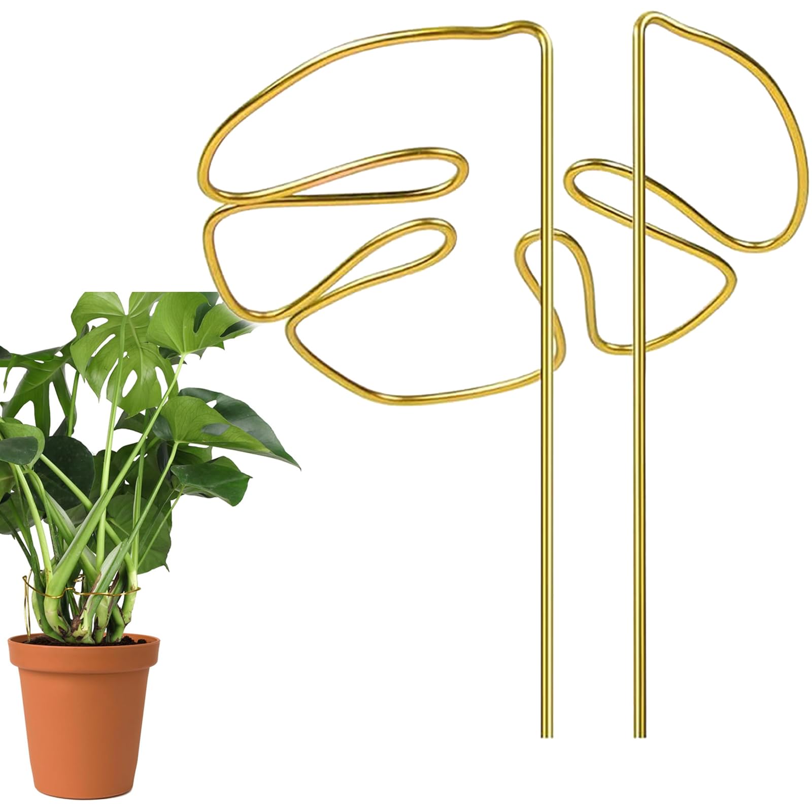 Amazon | 園芸支柱 モンステラ 植物支柱 観葉支柱 植物サポート 植物茎