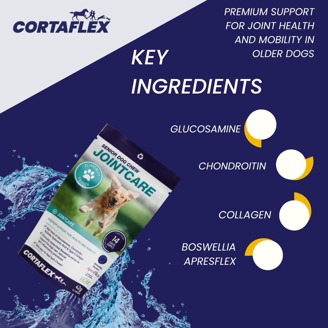 Cortaflex Senior Dog Chews (Contains 60 Chews) Supports Hip And Joint Mobility. Supplements For Dogs. Contains Chondroitin and Glucosamine. Dog Joint Support For Senior Dogs - Image 3