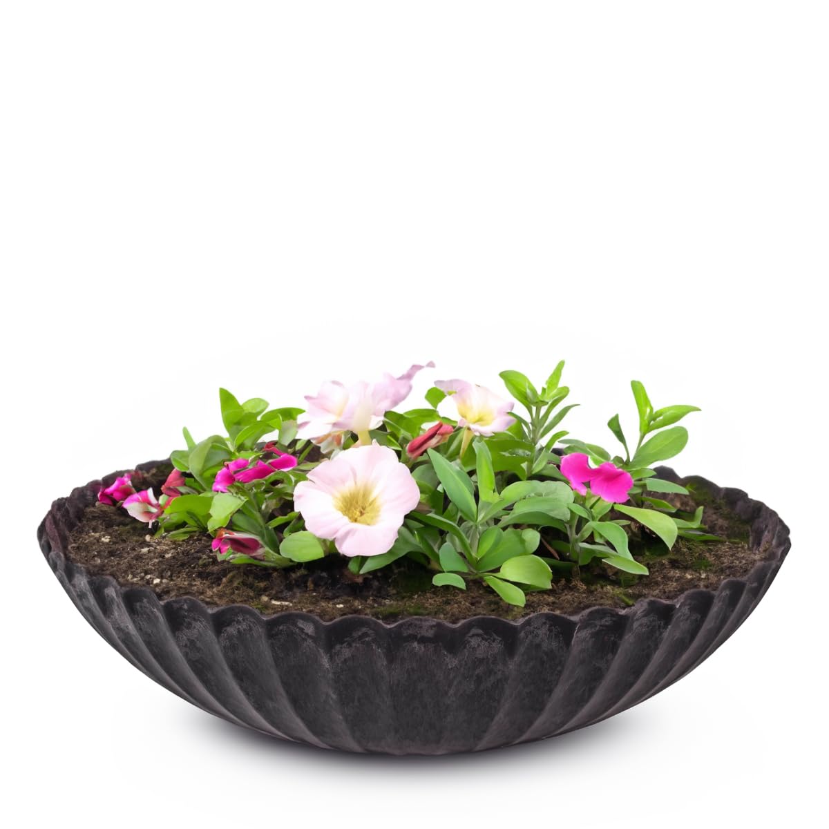 matches21 HOME & HOBBY Beautiful Decorative Black Wavy Bowl - Garden Decorative Bowl Round Plastic - 28 cm - Outdoor Use