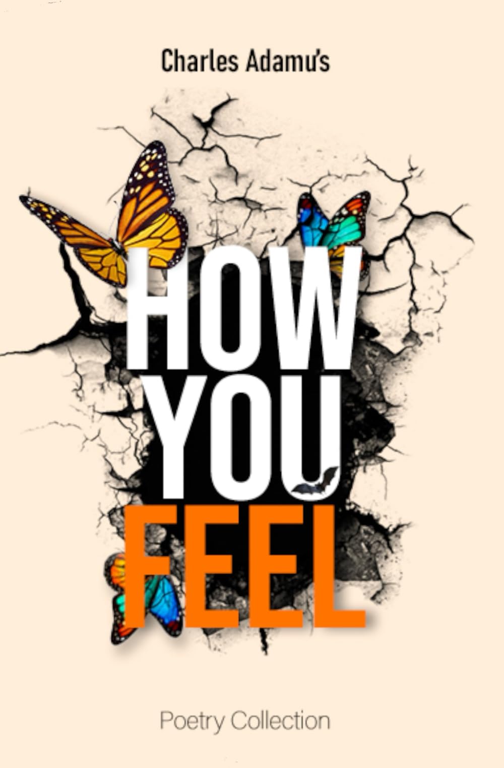 How You Feel