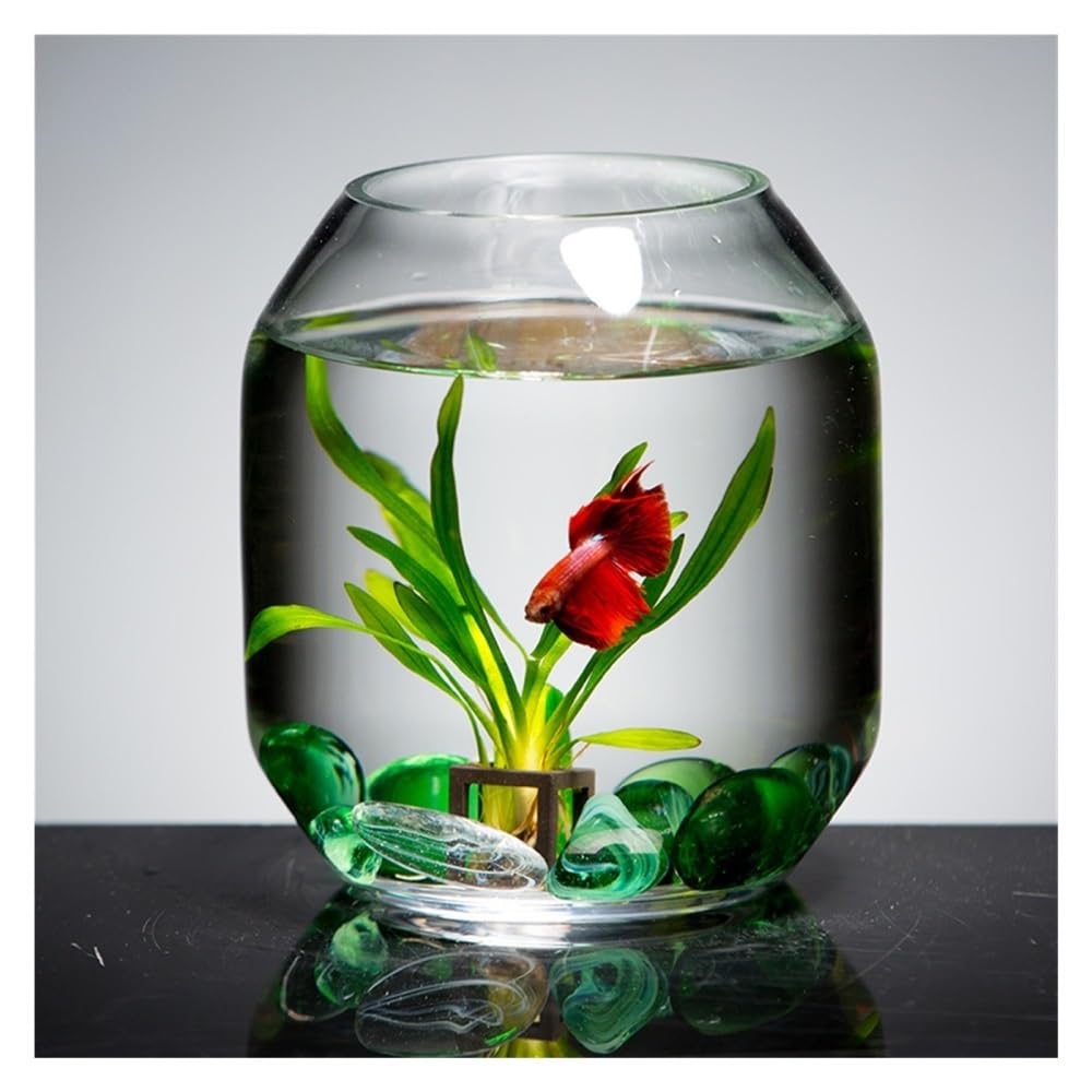 Aquarium Transparentes Glas-Aquarium, kleines Zuchtbecken, dekoratives Mini-Aquarium for Wohnzimmer, Schreibtisch oder Wohnzimmer