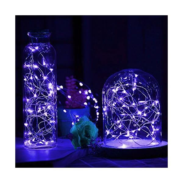 Liida led fairy string lights battery operated for wedding centerpiece christmas tree garlands mason jar craft party vase decoration - image 3