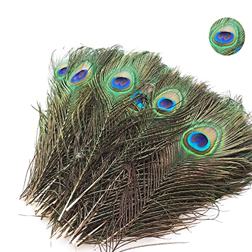 Aatpuss 20 Piezas Plumas de pavo real natural, 25 30 cm plumas de pavo real con ojo natural, Plumas de pavo real decorativas con ojo, plumas de pavo real natural adecuado para la artesanía, ropa