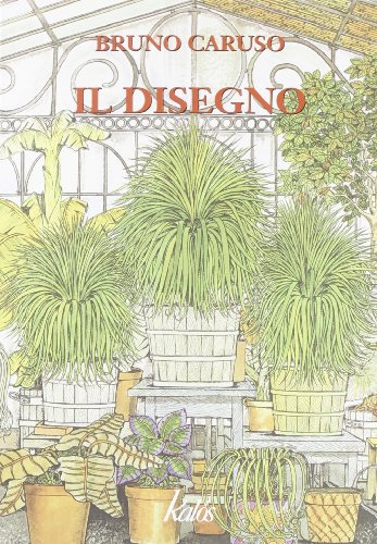  Il disegno