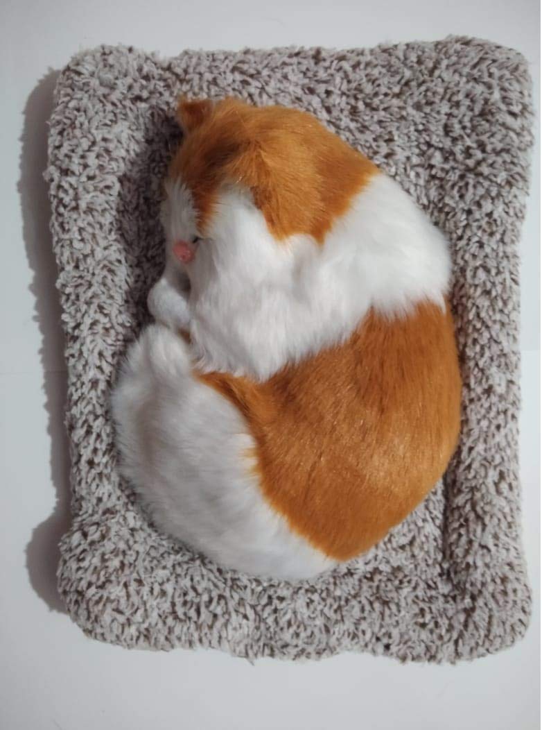 AUTONEST Car Dashboard Soft Toy Sleeping Cat (Tan and White) for Toyota Fortuner 2