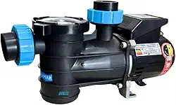 Bomba Piscina 1/4cv Sodramar Pré Filtro Motor Weg 220v