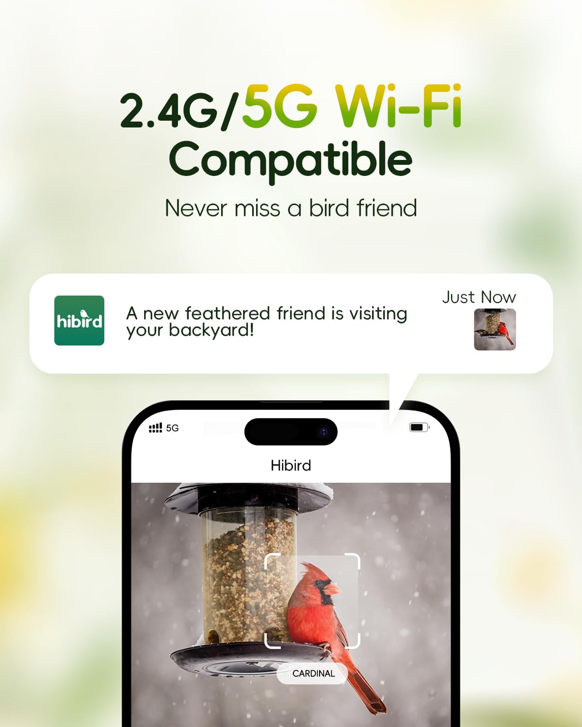 Hibird 4K HD - Cámara inteligente alimentadora de pájaros alimentada por energía solar, 2.4G/5G WiFi dual inalámbrico al aire libre, captura de video automática de pájaros de cámara lenta 6X