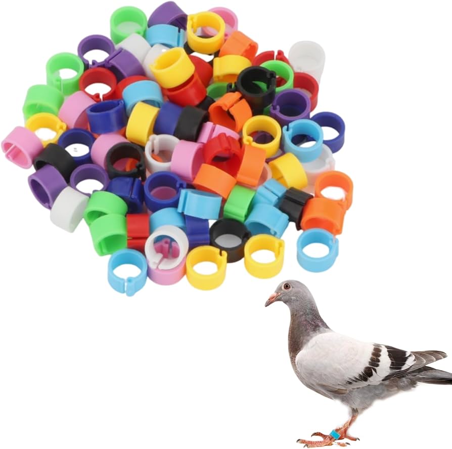 No.271花梨瘤トリコロールのトレー No.271花梨瘤トリコロールのトレー No.271花梨瘤トリコロールの