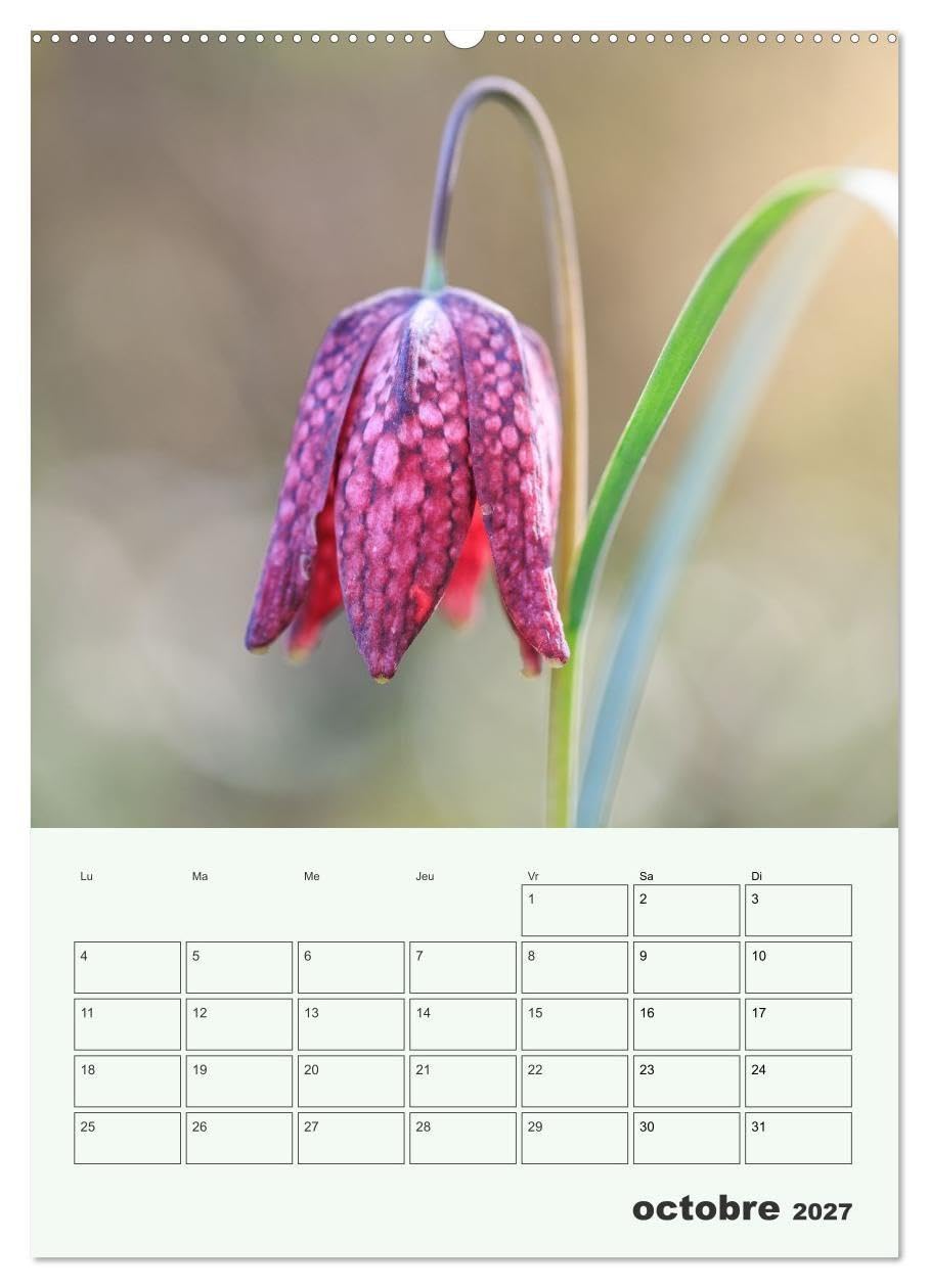 Les fleurs, éternelles éphemères (Calendrier mural 2027 DIN A2 horizontal), CALVENDO calendrier mensuel: Un calendrier poétique qui capture, mois ... fleurs dans toute leur splendeur éphémère.