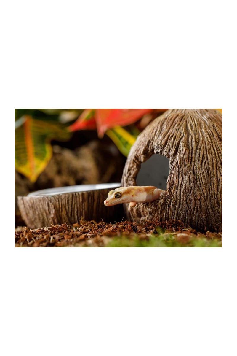 Exo Terra Coconut Hide and Water Dish