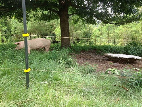 Farmily Portable Electric Fence Polywire, 656 Feet 200 Meter, 6 Conductors, Yellow and Black Color, Easy to Install Repair Splice and Rewind - Image 6