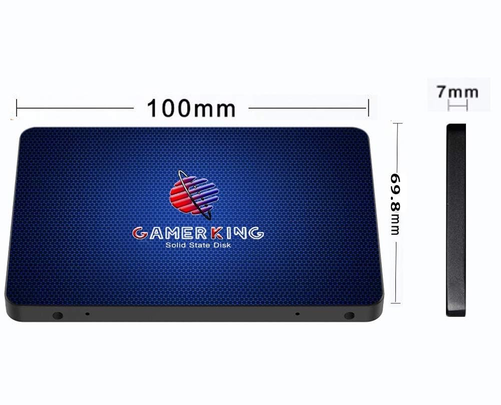 Gamerking SSD 2.5 256GB SATA3 Disco a Stato Solido Portatile all'Interno del Disco allo Stato Solido Ad Alte Prestazioni Hard Disk SATAIII 6Gb/s SSD per Computer/Laptop(256G B, 2.5''-SATA III)