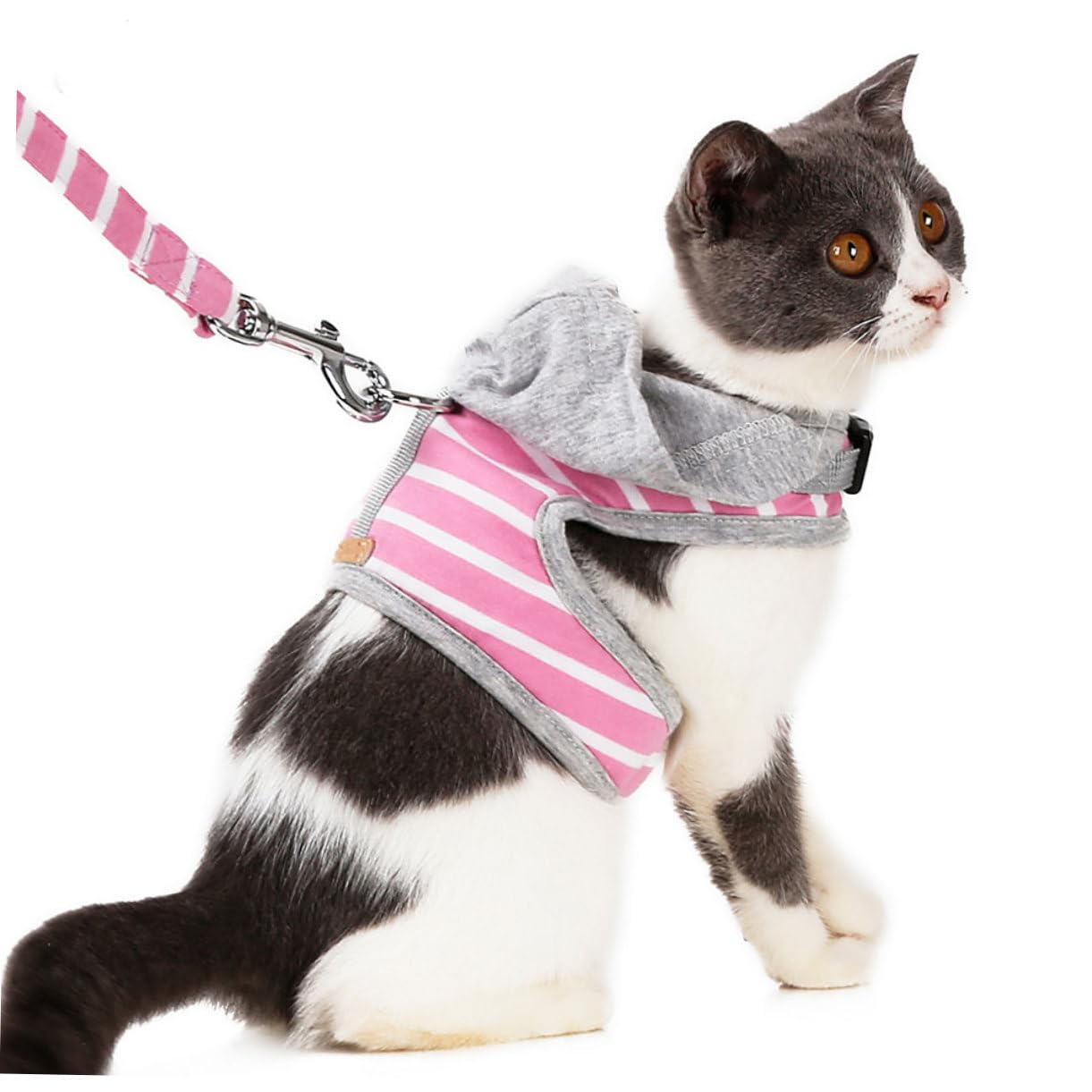 Yardwe 3stücke Katzen Geschirr Und Mit Sicherheitsverschluss Weiche Atmungsaktive Weste Für Katzen Für Entspannte Und Im Freien