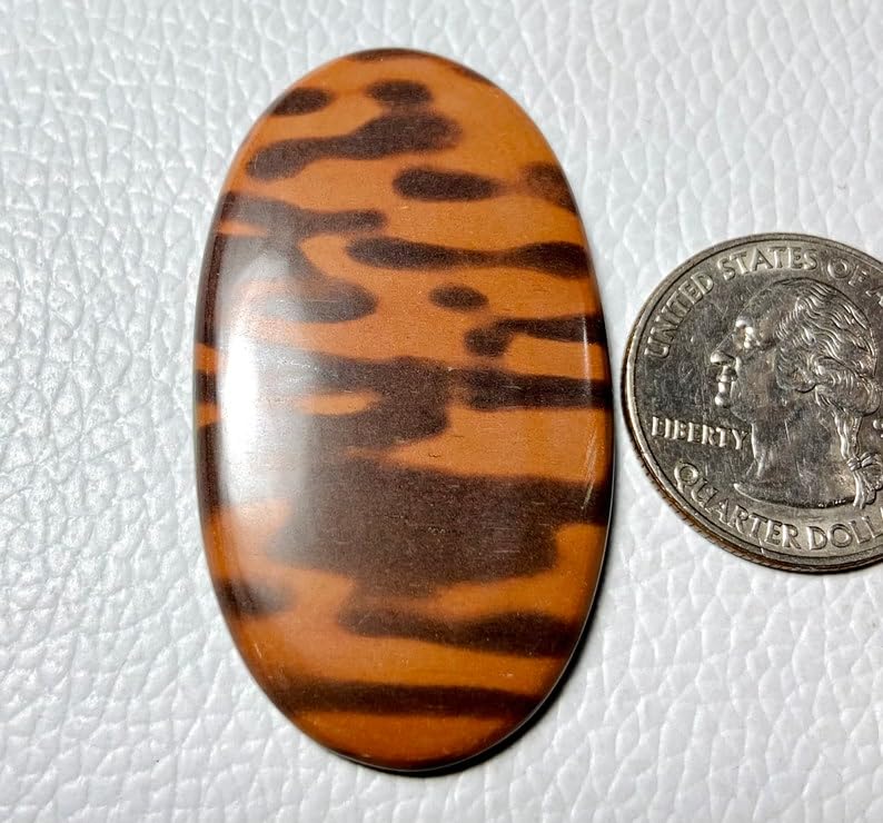 Jaspe peau de tigre cabochon 50mm pour réparer ou personnaliser une bague
