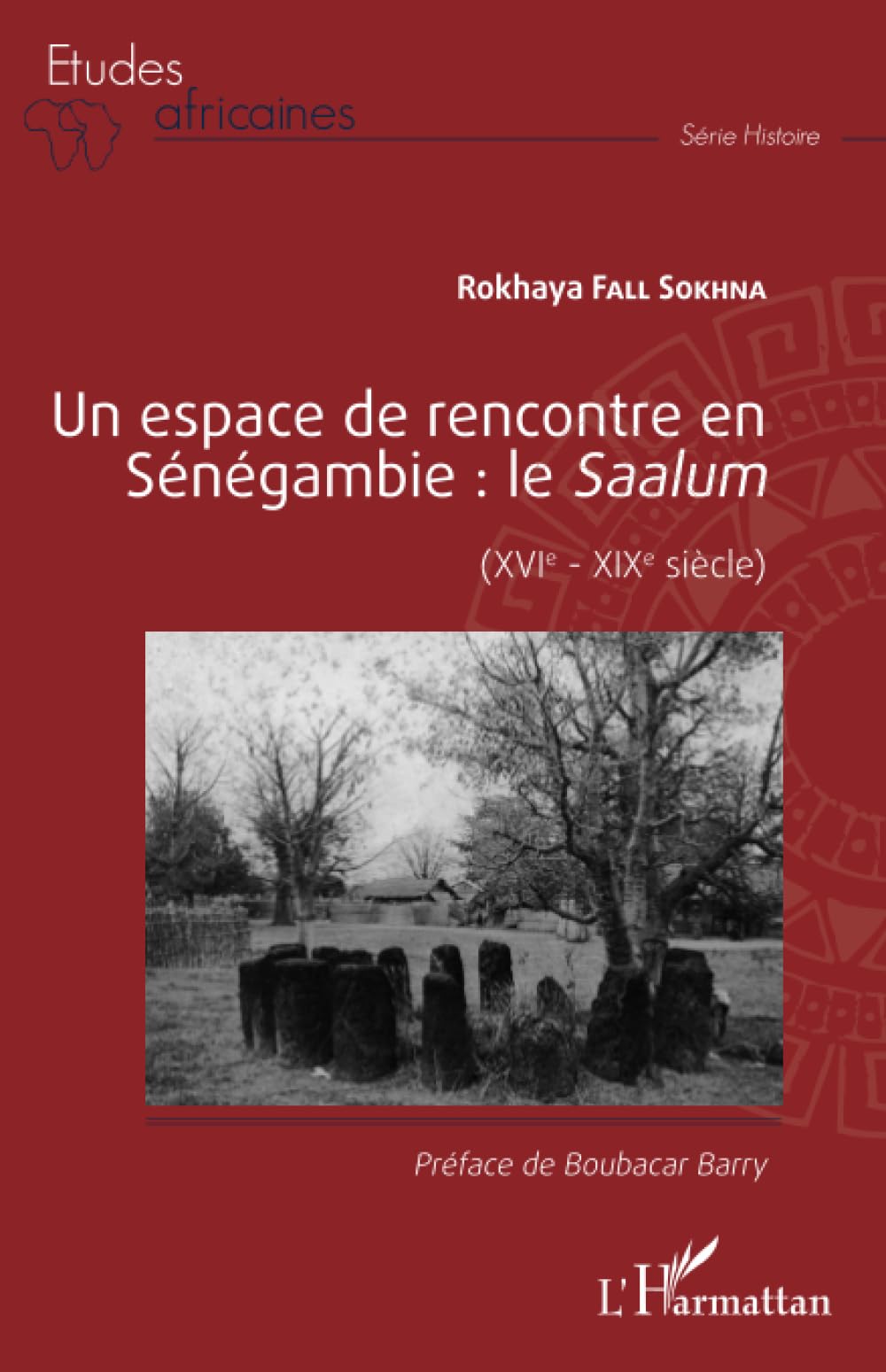 Un espace de rencontre en Sénégambie : le Saalum: (XVIe - XIXe siècle) (Études Africaines)
