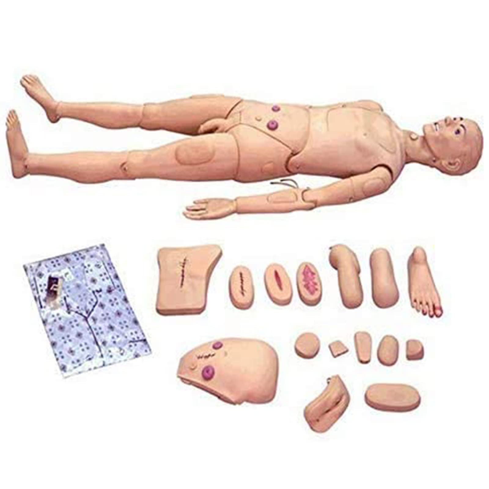 YNIYUJKL Scientific Patient Care Manikin, Multi-Functional Patient Care Simulator Male And Female Nursing Manikin Human Anatomical Model