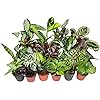 Product Photo 1