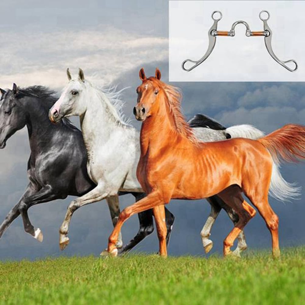 Orton Morso in acciaio inossidabile Morso per cavalli Morsi occidentali Snaffle Attrezzatura per addestramento per cavalli per allenamento della bocca Bit con porta in rame