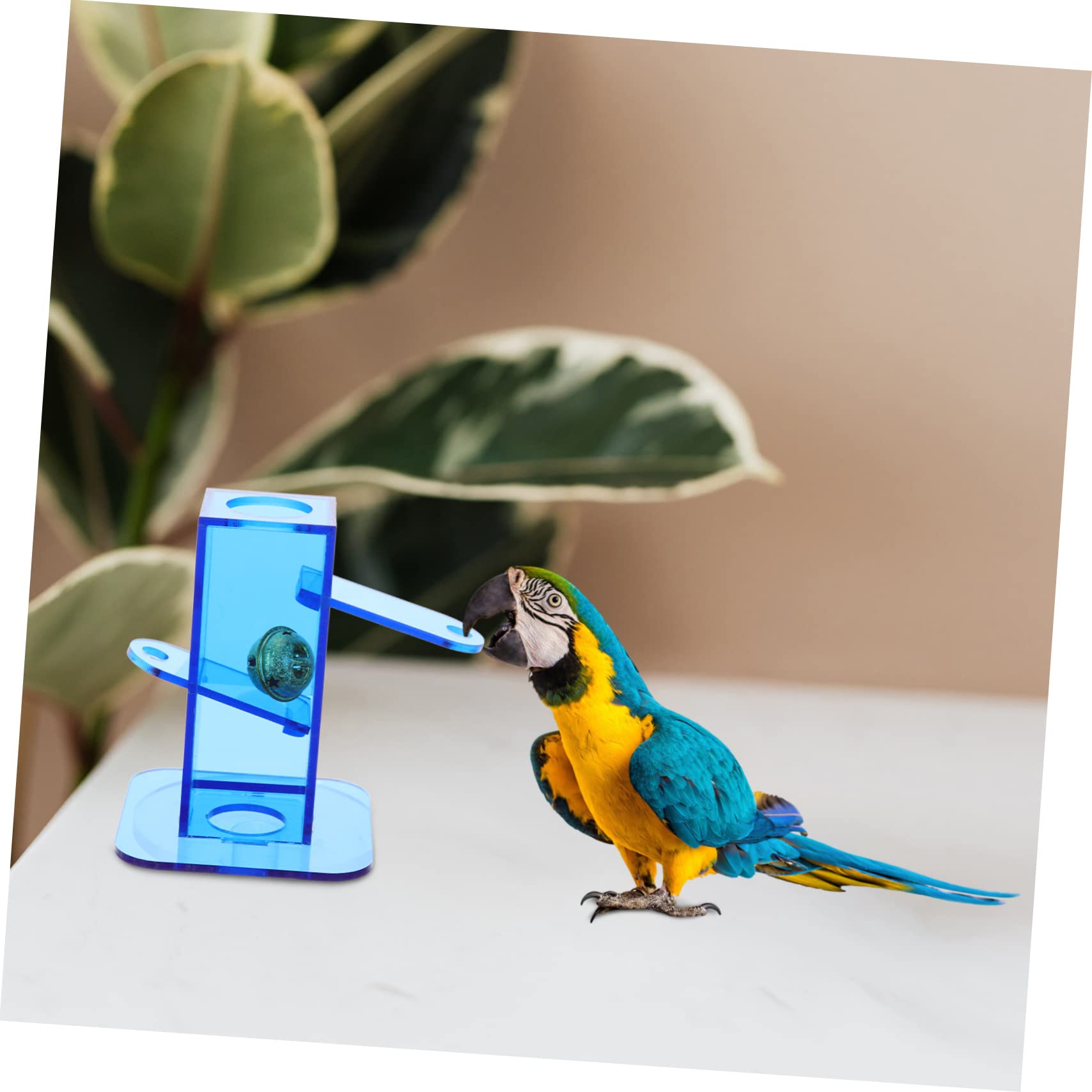 FRCOLOR 3stücke Cockatiel Spielzeug Für Papageien Interaktives Futterspielzeug Intelligenz Und Bewegung Für Nymphensittiche Und Wellensittiche Für Indoor-nutzung