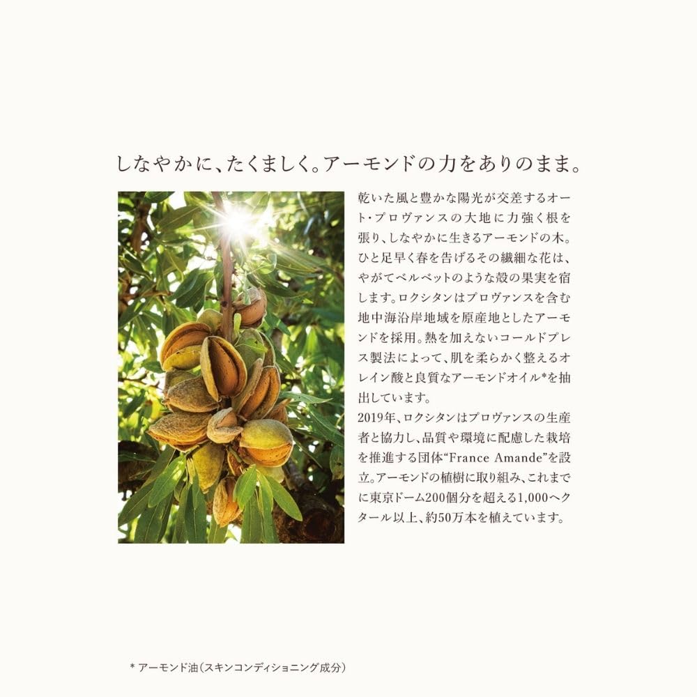 ロクシタン アマンドスブリーム ミルクコンセントレートサムネイル6