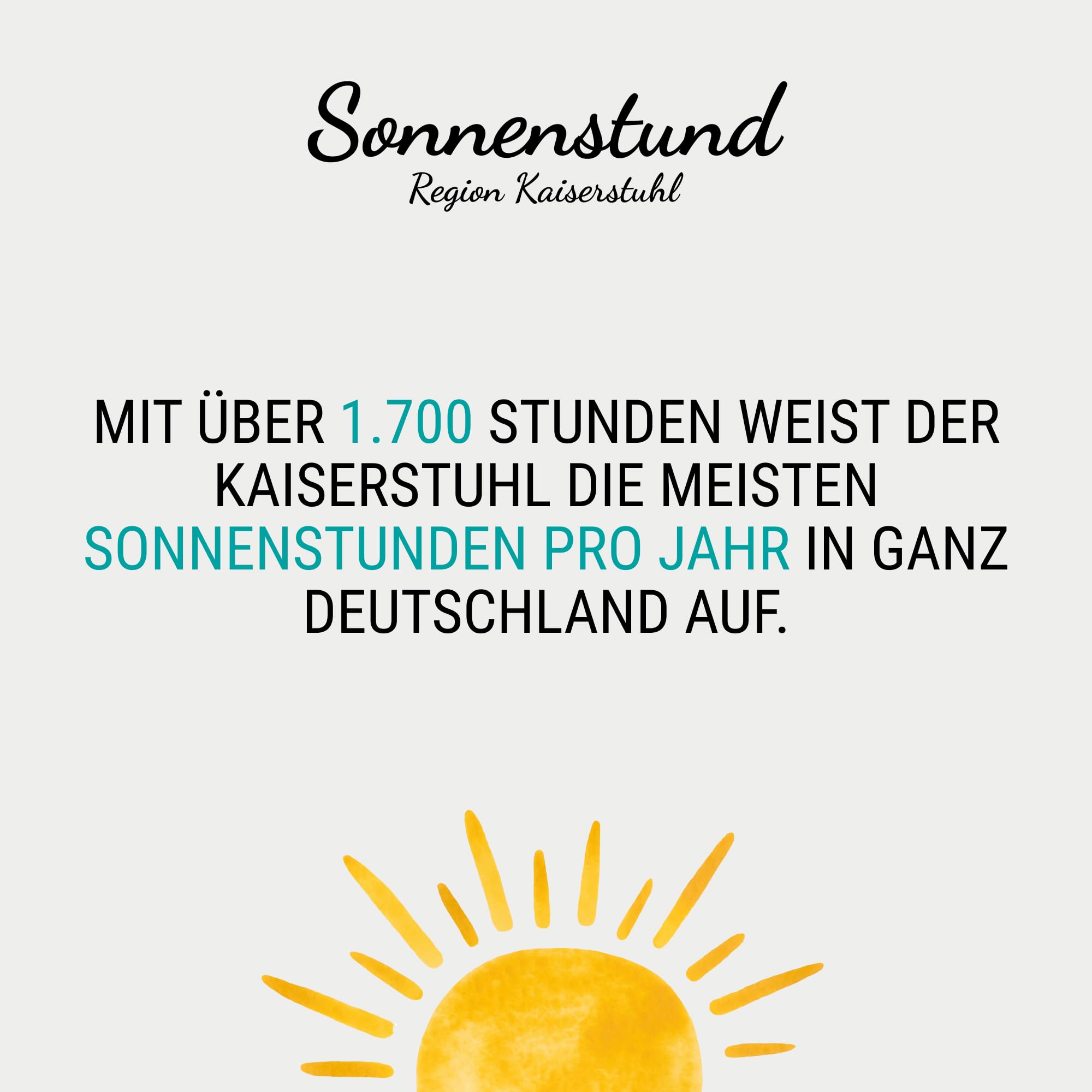 Sonnenstund Grauburgunder Weißwein-Paket - Bag-in-Box Grauburgunder trocken vom Kaiserstuhl - fruchtig-frisch & unkompliziert, ideal für Feiern, Gartenparty & Camping (4 x 3 l)