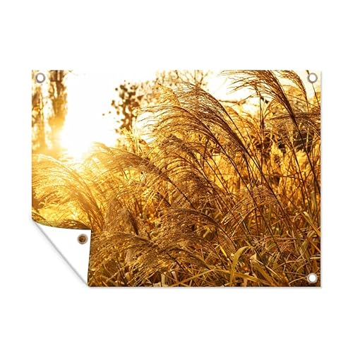 MuchoWow Poster exterieur Herbe de la pampa - Soleil - Herbe Decoration murale 40x30 cm Résistant aux intempéries/soleil