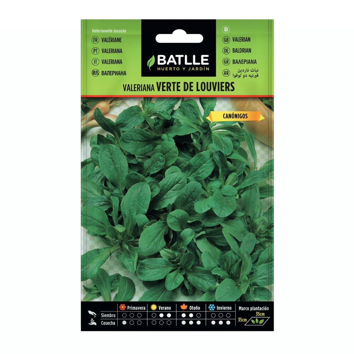 Semillas Aromáticas - Valeriana Verte de Louviers - Batlle