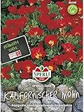 Inhalt: Ausreichend für ca. 75 Pflanzen
