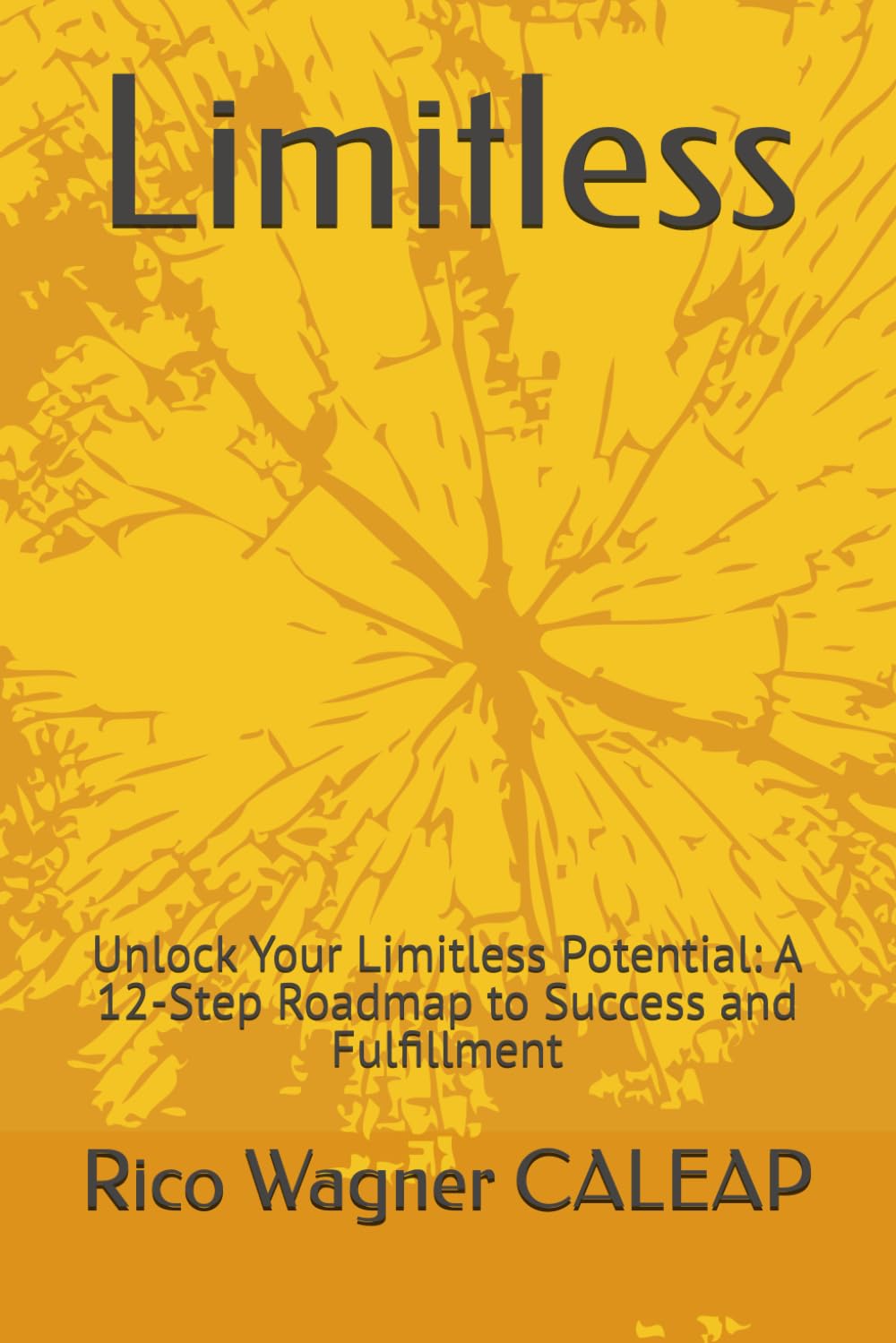 Limitless: Unlock Your Limitless Potential: A 12-Step Roadmap to Success and Fulfillment