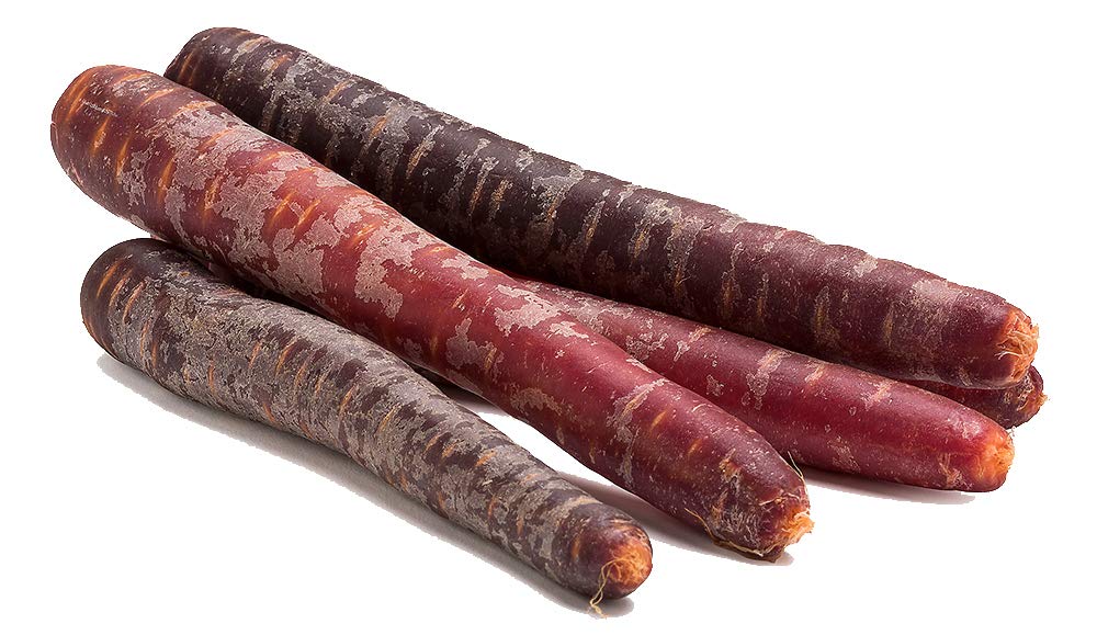 Möhren Purple Haze 10 kg