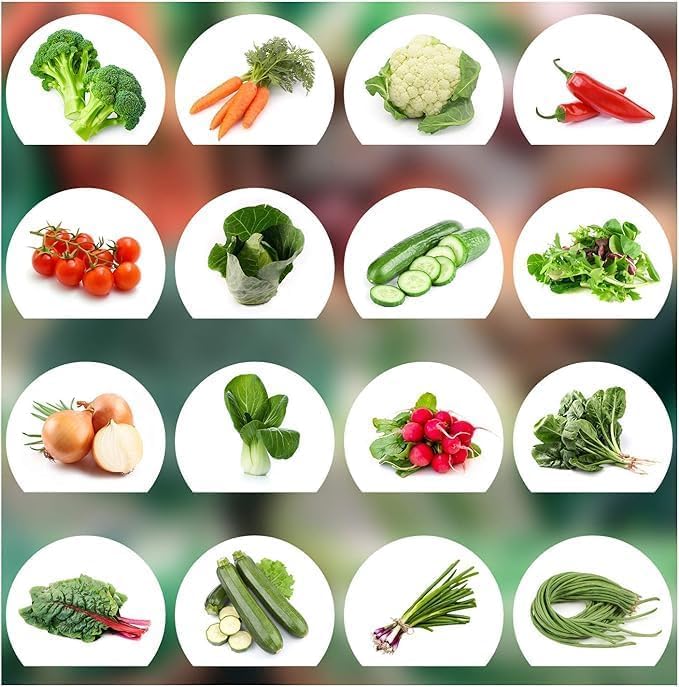 Image of Devender Farm Premium Vegetable Seeds Pack, 15 Packets Of Organic & Hybrid Vegetable Seeds For Home Garden & Planting For Pots And Patio
