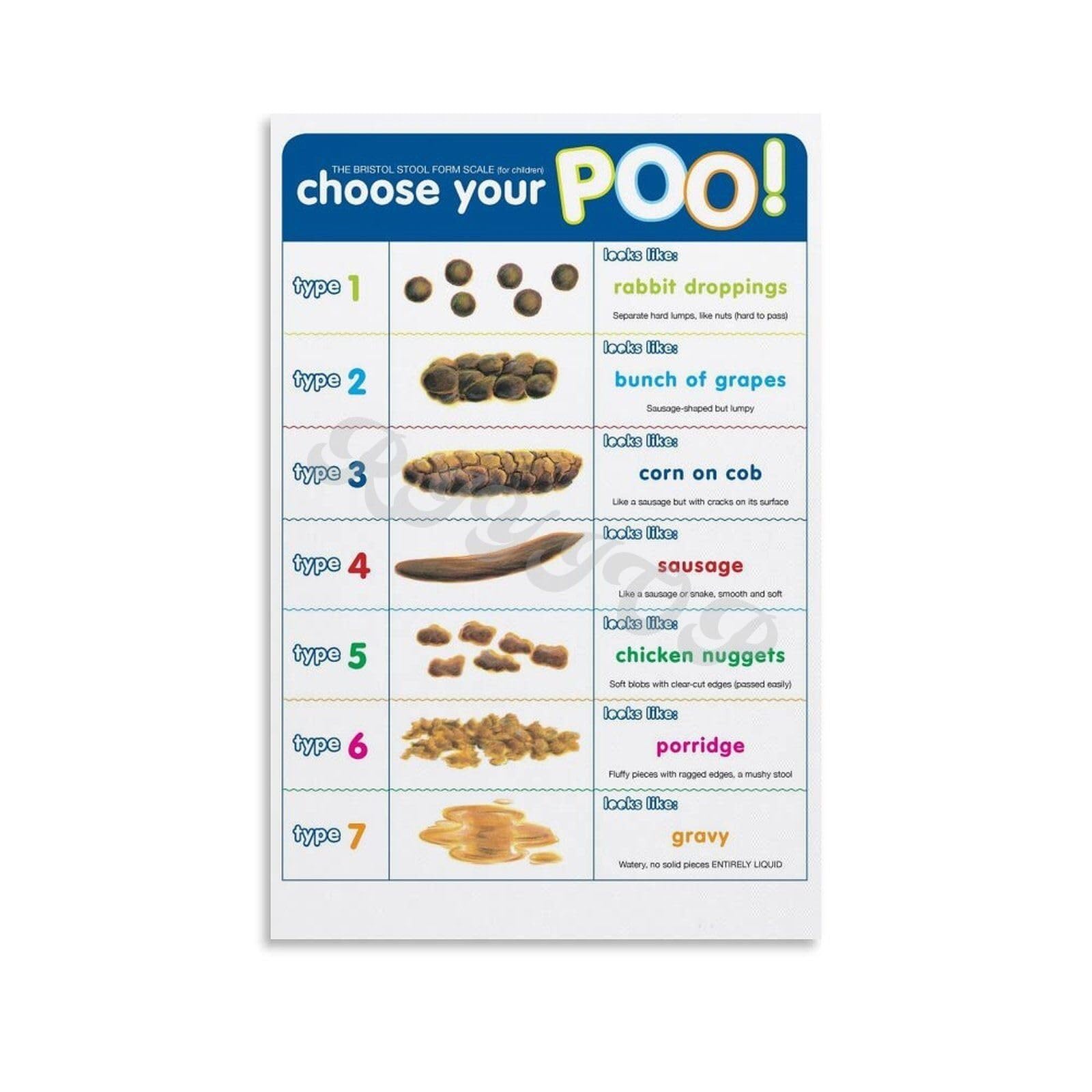 XGINERFEX Poop Chart Poster - Bristol Stool Chart & Digestive Health Reference for Clinic(Unframed,08x12inch(20x30cm))