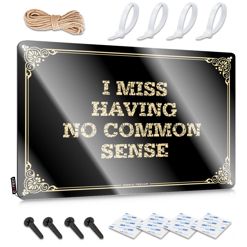 Metal Wall Decoration Amazing Artwork Affirmation I Miss Having No Common Sense - Vintage Wall Decor For Score(30X40CM)