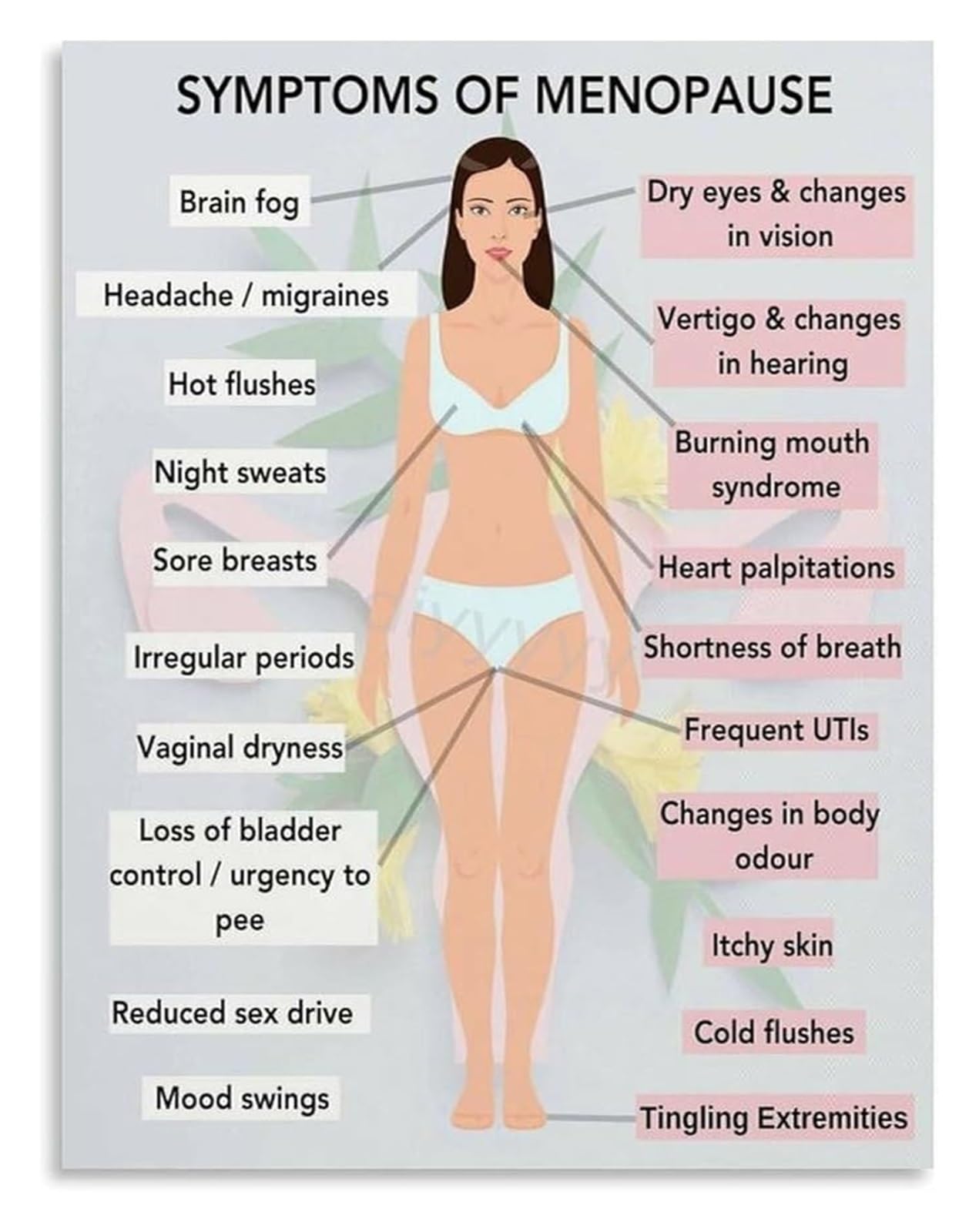 FOPURE Tranquil Menopause Health Awareness Canvas Print A Full Guide to Symptoms for Supportive Home Decor(Unframed,16x24inch(40x60cm))