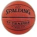 Spalding TF-Trainer   28.5" Weighted Trainer Ball - 3lbs.