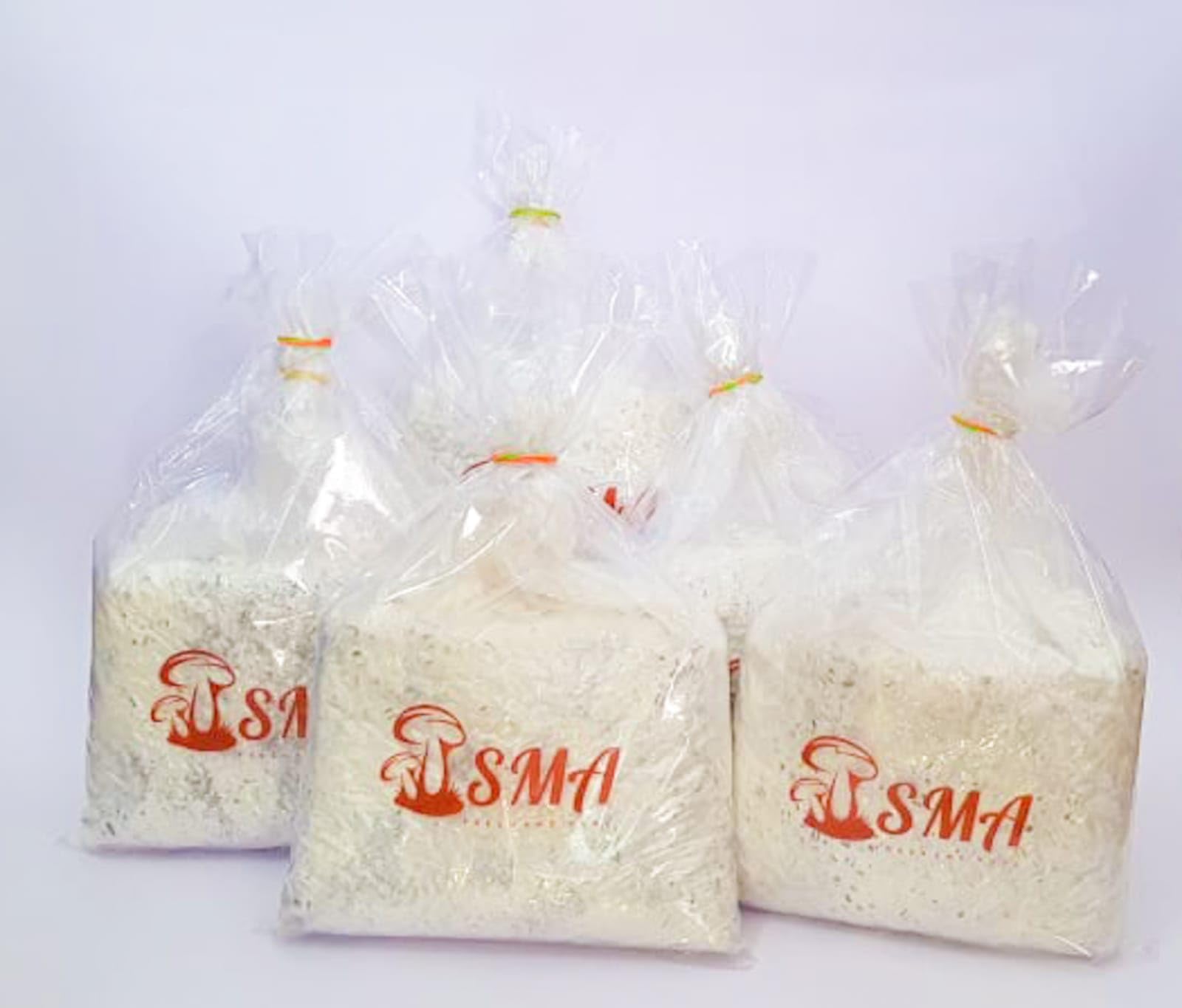 SMA Shyam Mushroom - Oyster Mushroom Spawn and Seed - 5 kg (B0CM134MGF) Amazon Price History, Amazon Price Tracker