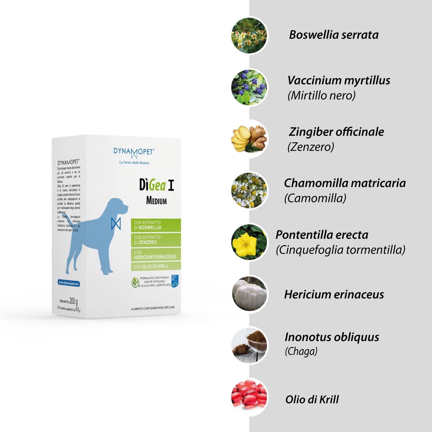 DìGea I Medium Per Cani | Integratore Intestinale | 20 Bustine Da 10g | Con Boswellia E Krill - Foto 8