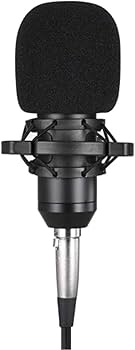 Amazon | マイクロフォン 記録用コンデンサーマイクロフォン、ライブ