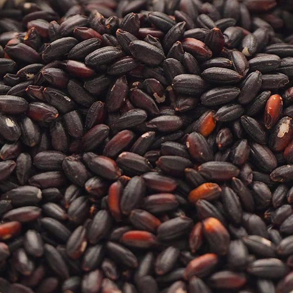 Black Rice, 17.6 oz (500 g), 2.2 lbs (1 kg), Domestically Produced, Ancient Rice, Matsubaya (2.2 lbs (1 kg)