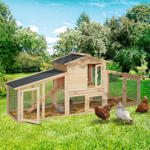 Probache, Pollaio VIP con doppia gabbia XXL in legno - immagine 3