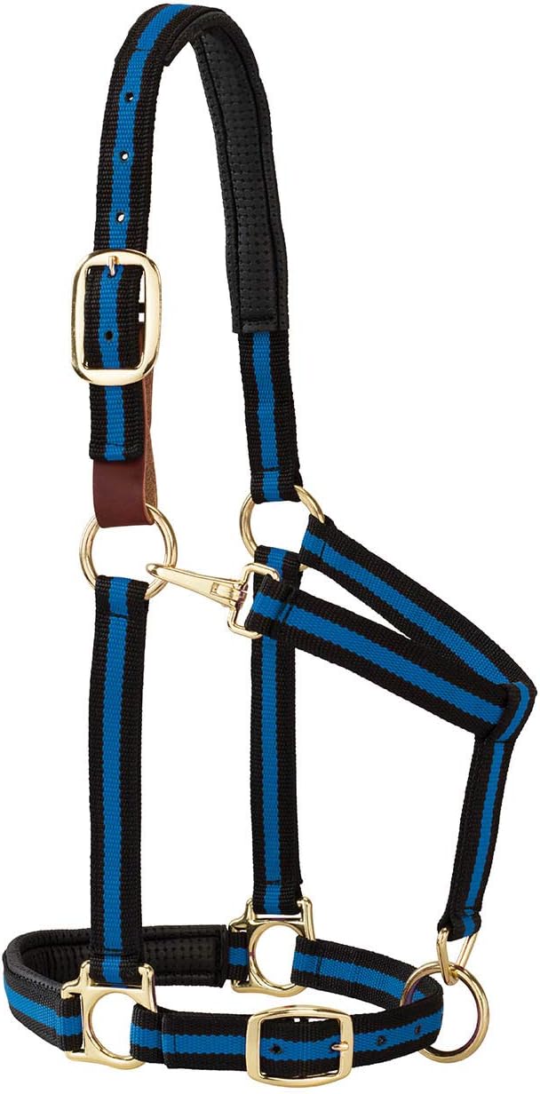 Breakaway Horse Halter, Comfort Foam Padding, Adjustable Chin & Throat Snap Halters for Horses, Equine Tack,Average Size, Blue