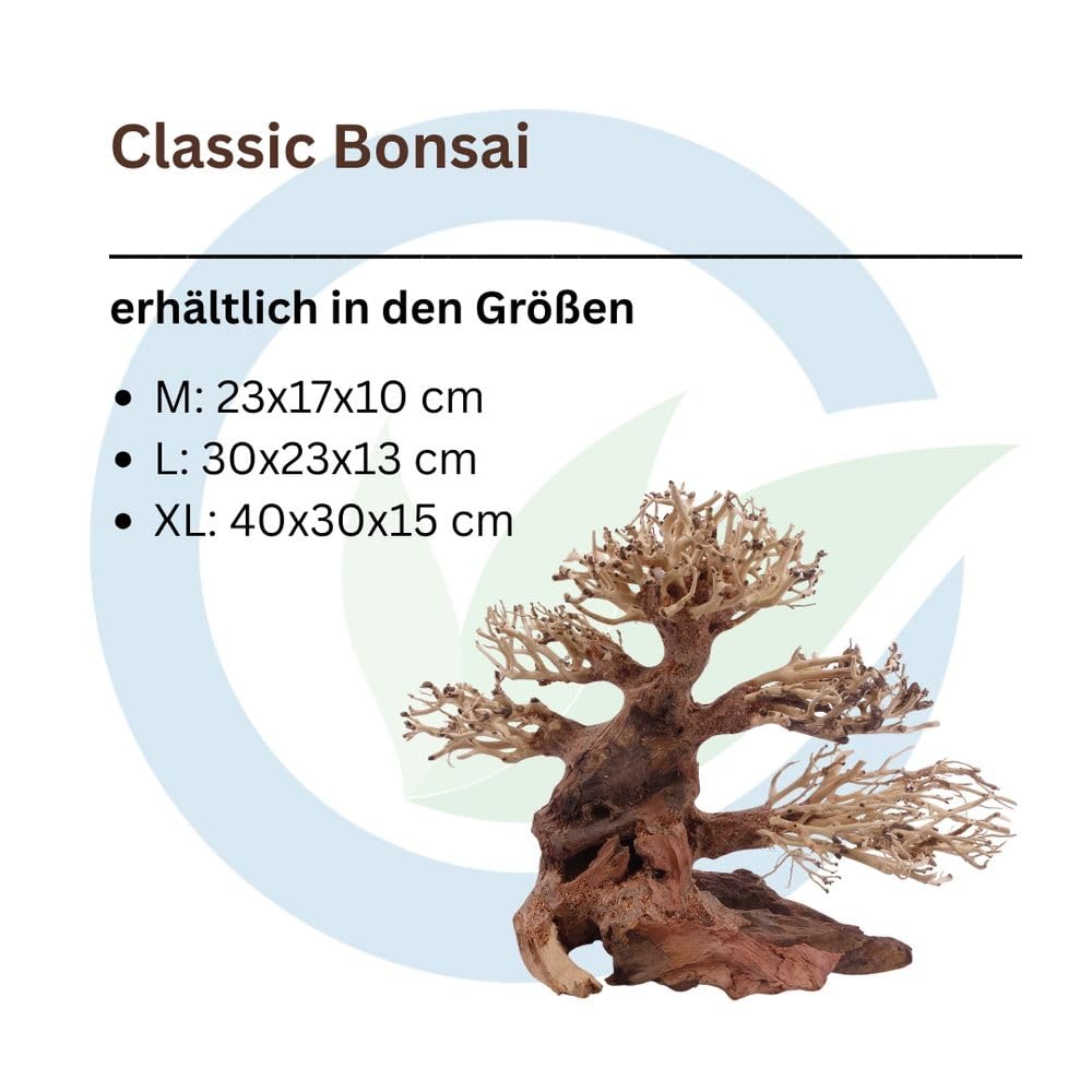 AquaOne Aquarium Classic Bonsai Baum XL Wurzel Oriental Holz 40x15x30 cm I Aquascaping Dekoration I Natur Unikat Bonsaibaum I Landschaft Deko Unterwasserlandschaft