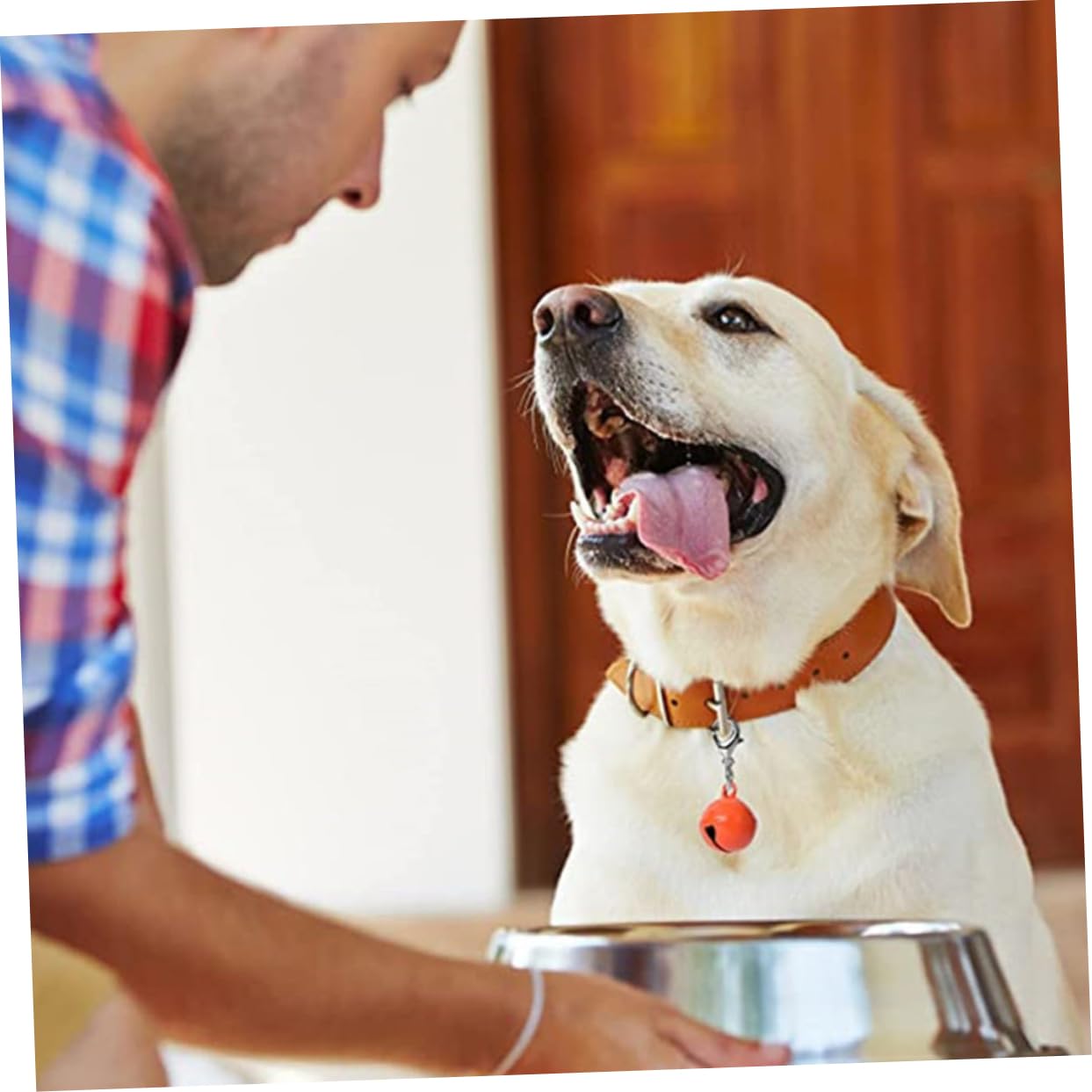 Angoily 10pcs Pet Collar Bell Puppy Collar An Fittings Wear-resistant Dog Collar Bells Hanging Bell Buckle, 2.80X1.40X1.40CM, Metal