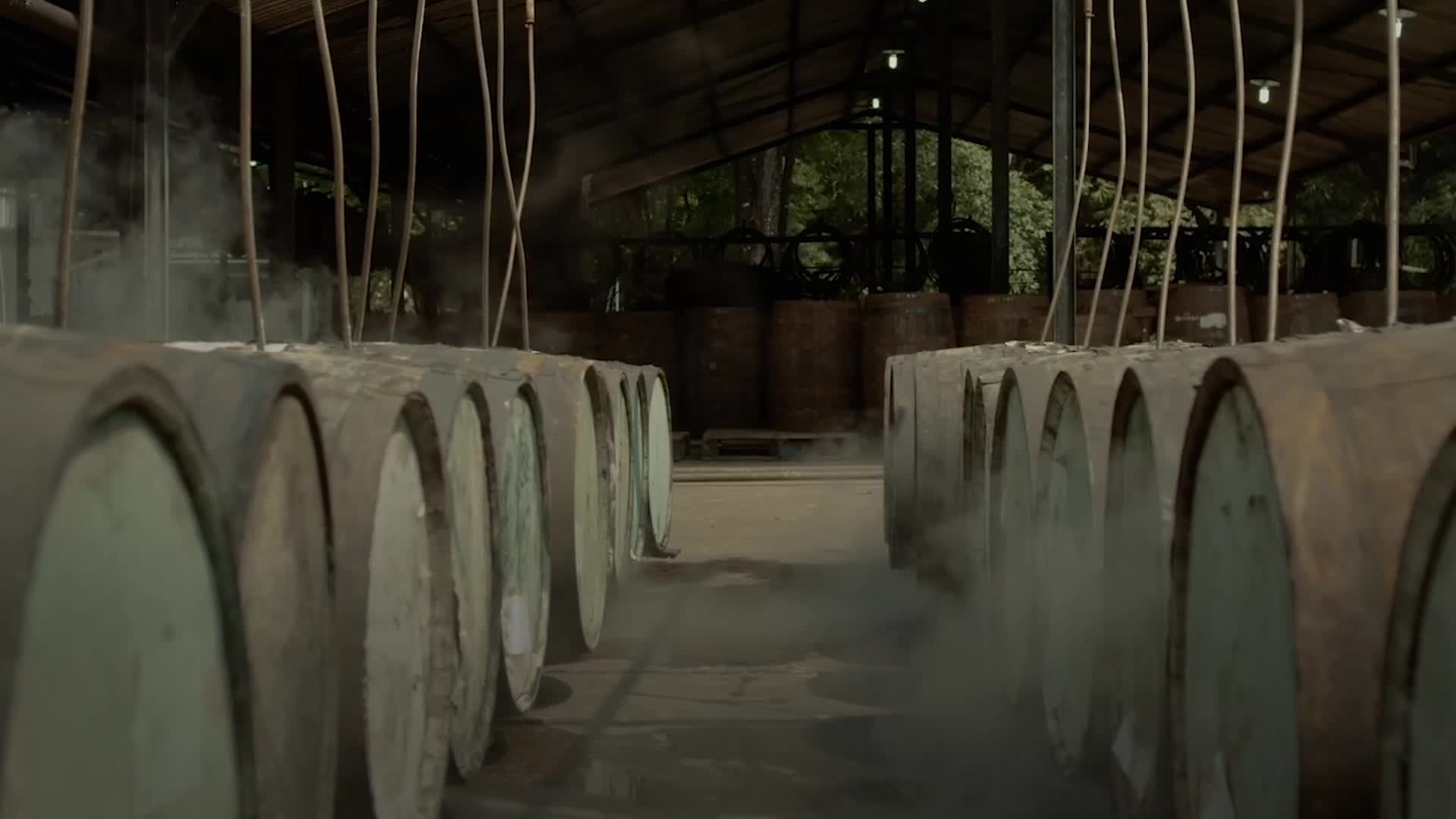 Botucal | Premium Rum | Reserva Exklsuiva| 700 ml | 40% vol. | 12 Jahre gereift in Pot-Still- + Kolonnen-Destillat… - Image 8