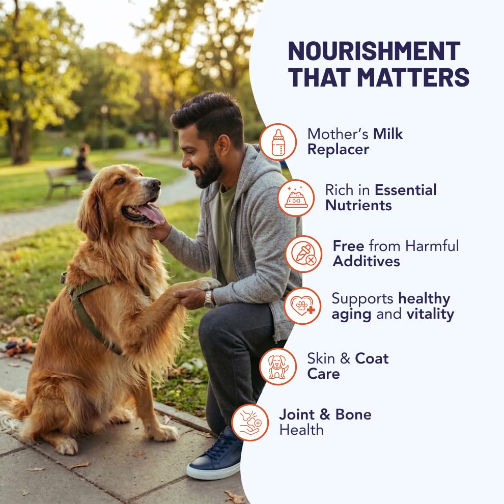 Image of Lactose Free Milk for Cats and Dogs | 200 ml, Pack of 15 | Ready to Serve Golden Milk with Curcumin & Piperine | Easy to Digest | Complete Daily Nutrition for Kittens, Puppies, Cats & Dogs