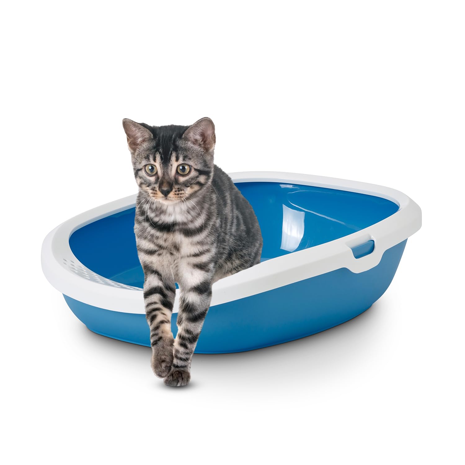 Savic Gizmo Cat Litter Tray with Rim - 17” Lightweight, Durable Litter Box for Cats & Kittens Odor-Reducing, Easy to Clean, Ideal for Toilet Training - Twilight Blue 1