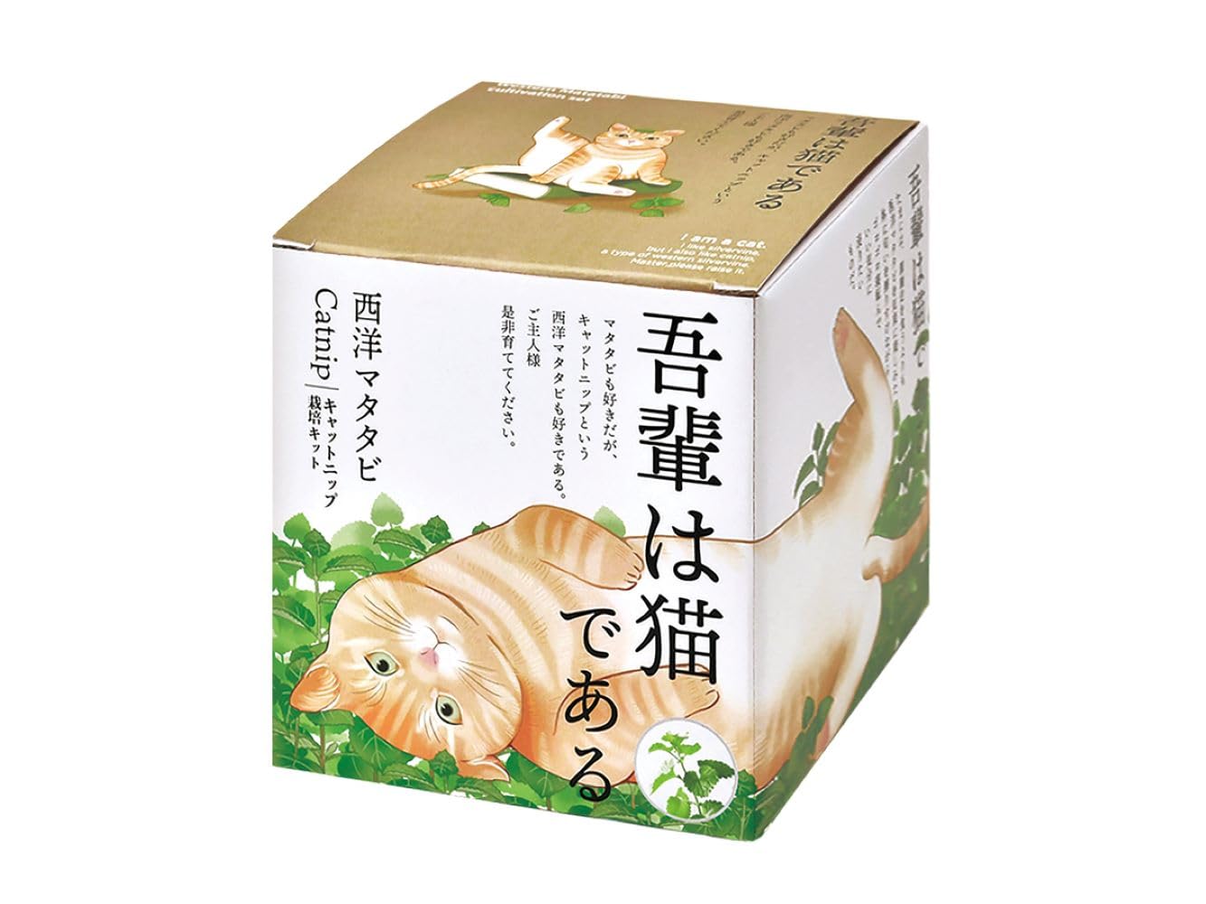 #126 天然北米産マホガニ-製猫 楽天市場】【一部予約商品/9月26日以降発送予定】Ciaobot